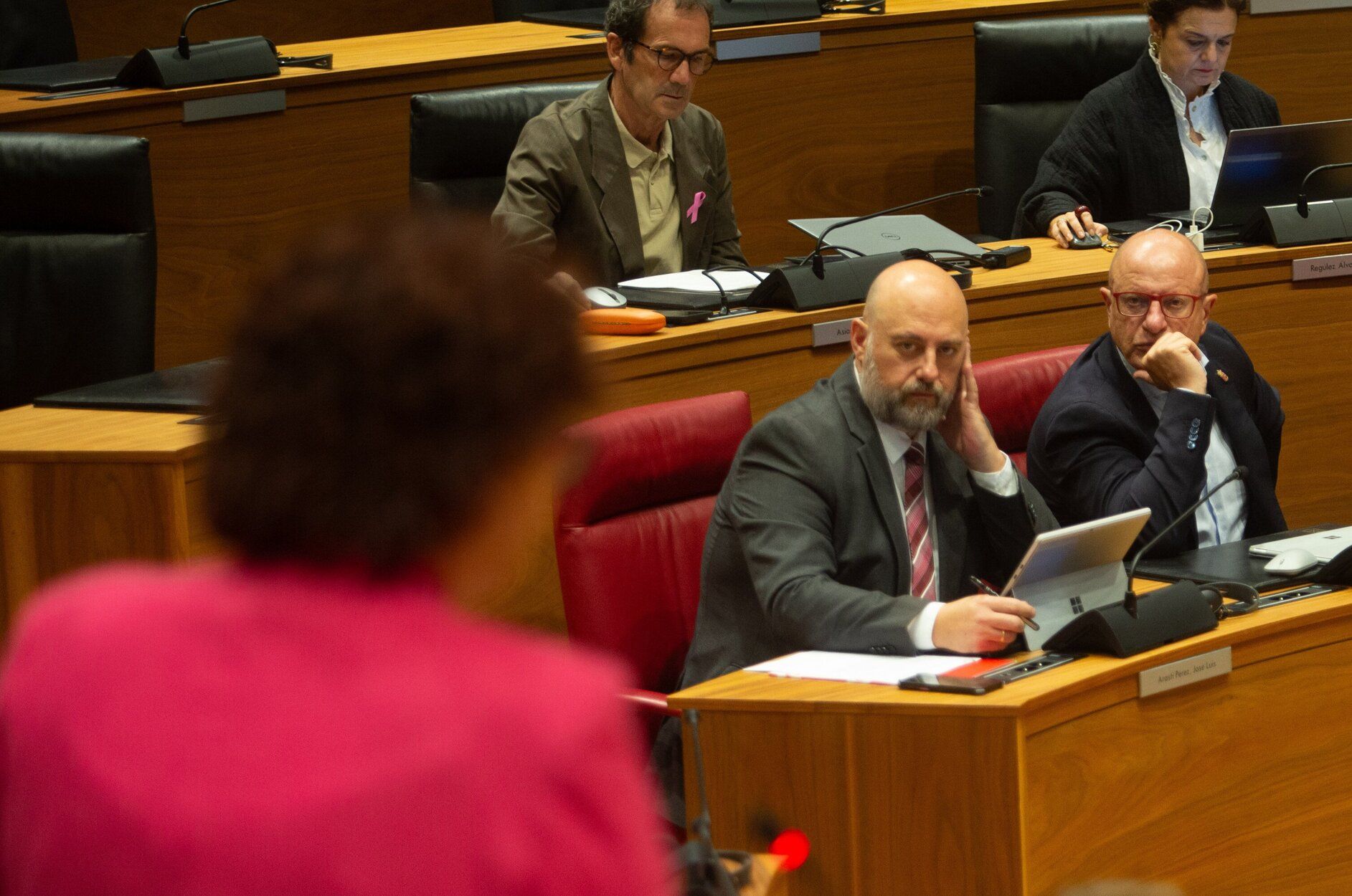 Fotos del pleno del Parlamento de Navarra de este jueves