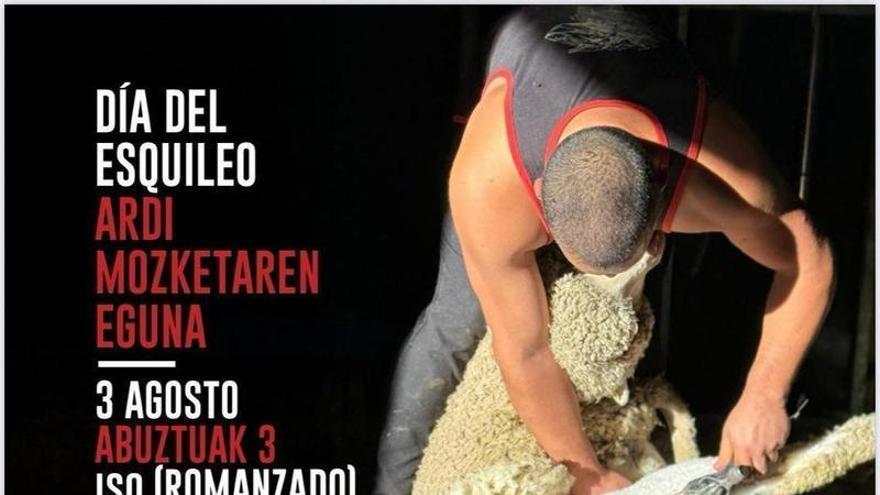 Día del Esquileo en el Valle de Romanzado