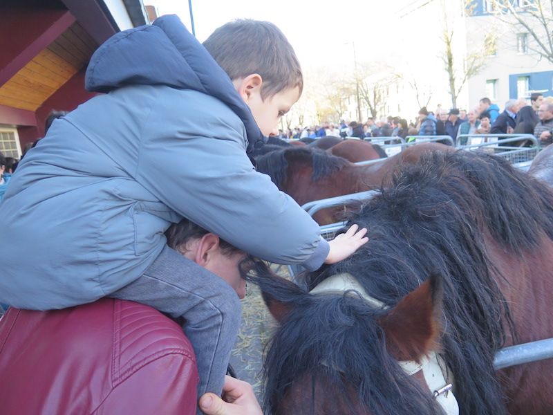La feria de Santa Lucía, en imágenes