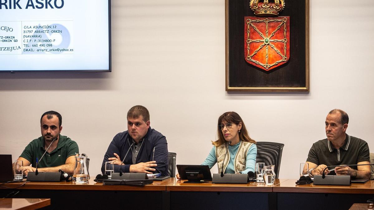 Comparecencia del alcalde de Arraitz, Unai Redín, en el Parlamento.