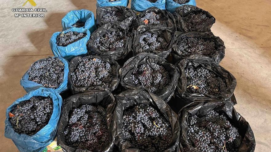 Cuatro vizcainos roban 500 kilos de uva en un pueblo de La Rioja