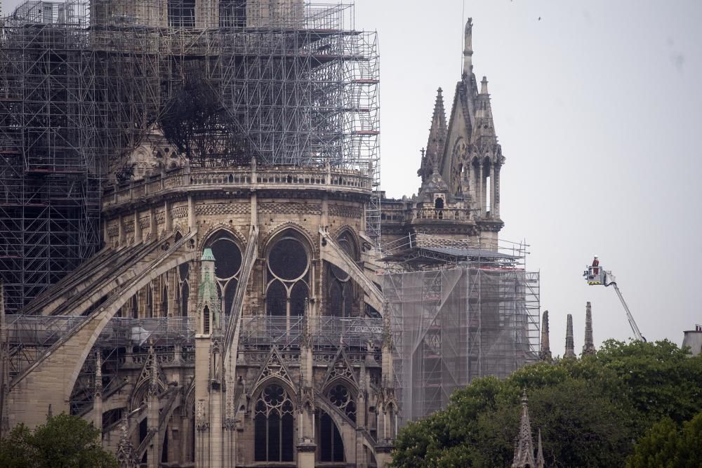 Notre Dame comienza a renacer tres años después del incendio