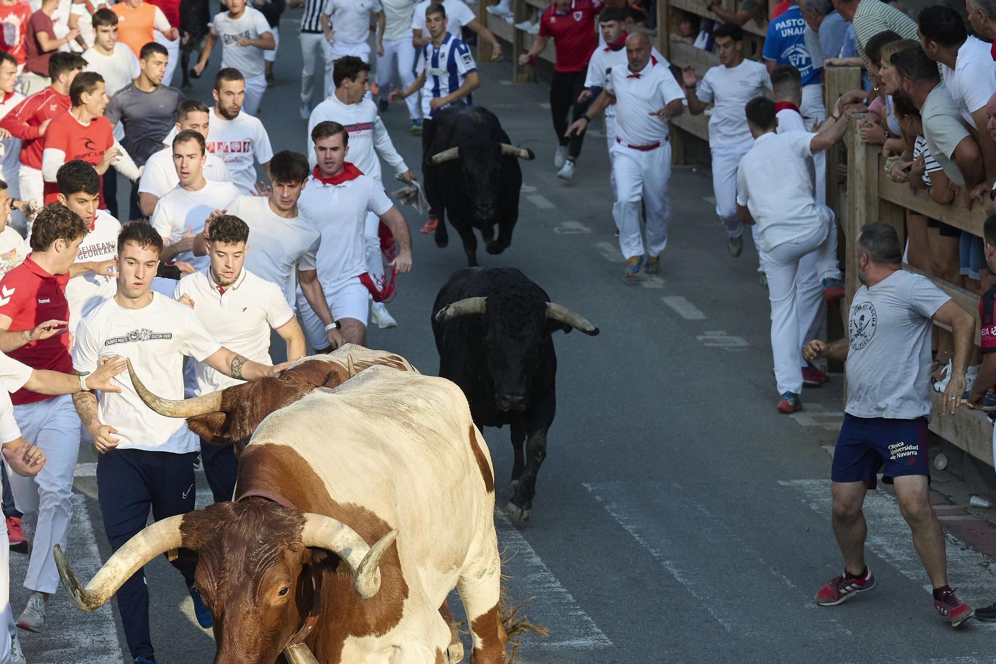 Fotos del primer encierro de fiestas de Tafalla