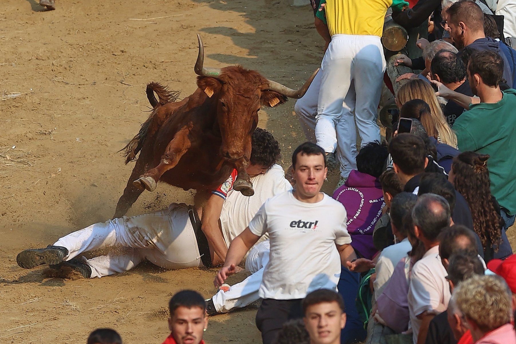Fotos del cuarto encierro del Pilón de Falces 2025