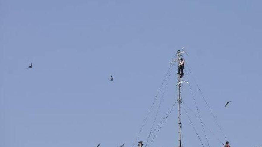 Una sentencia avala la competencia municipal para regular antenas