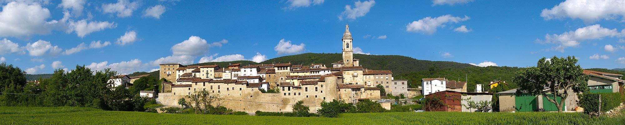Vista de la localidad de Antoñana en Campezo