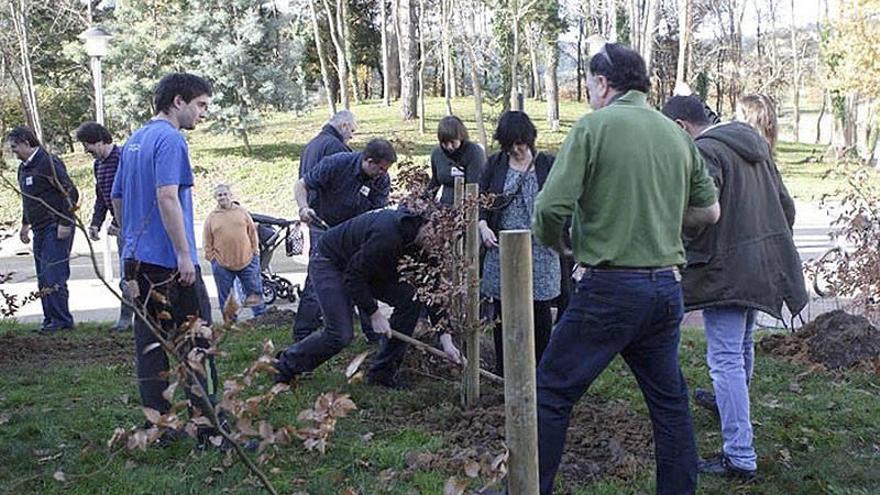 En la foto, varias personas colocan varios árboles en un claro homenaje al hayedo de Zilbeti.