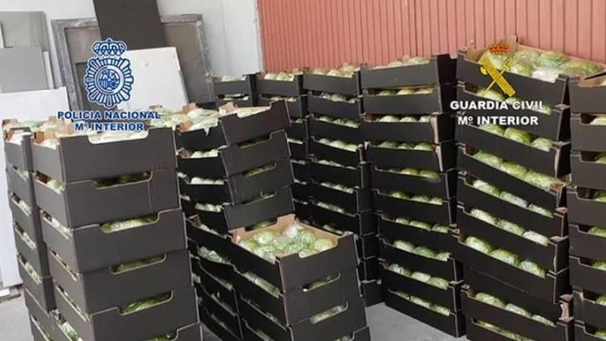 Hallan en Málaga 170 kilos de marihuana en palés de lechugas con destino a Irlanda