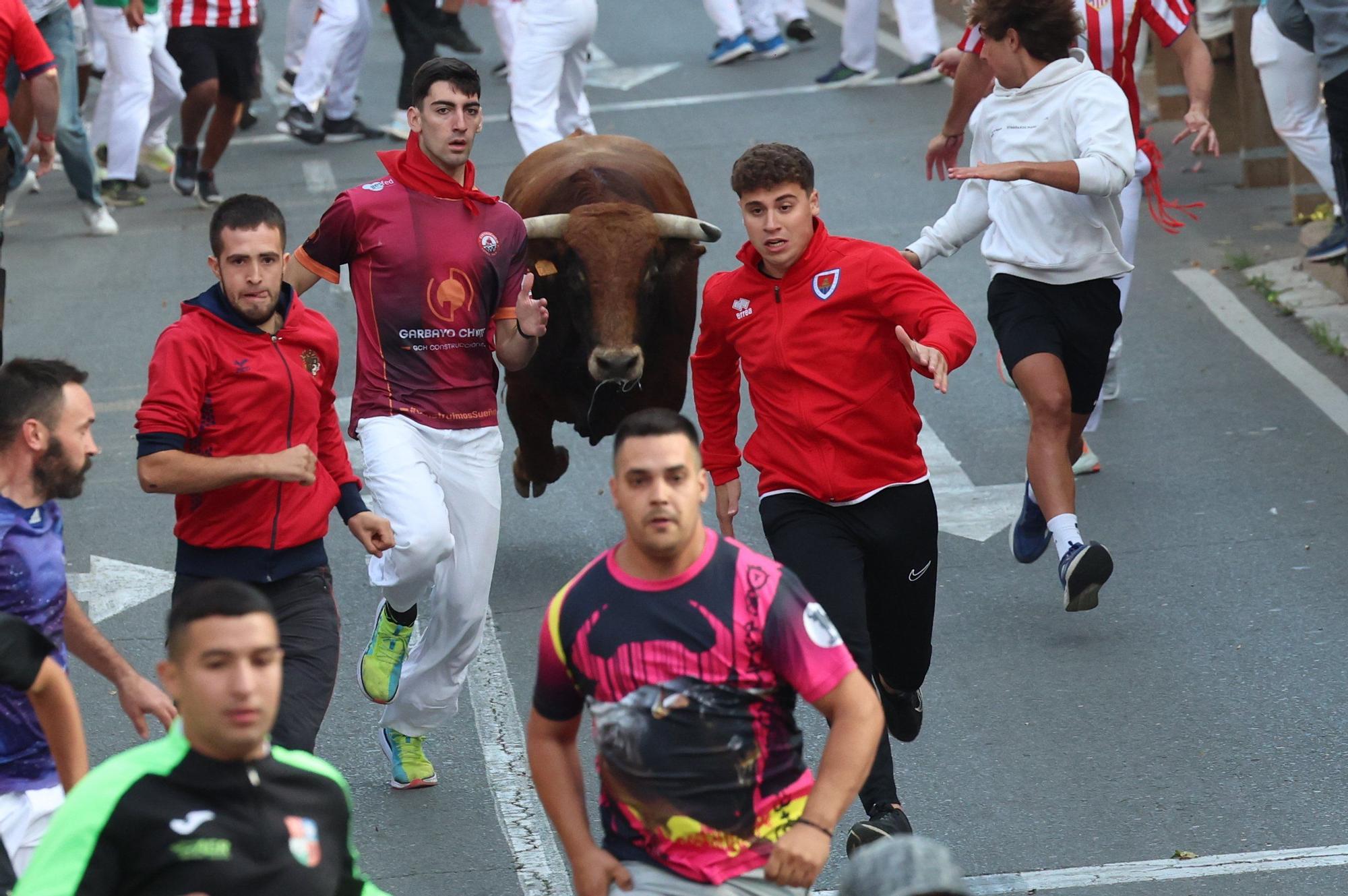 Fotos del primer encierro de las fiestas de Tudela 2025