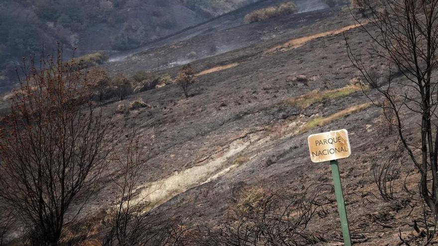 Dan por controlado el incendio que entró en Picos de Europa 21 días después de iniciarse