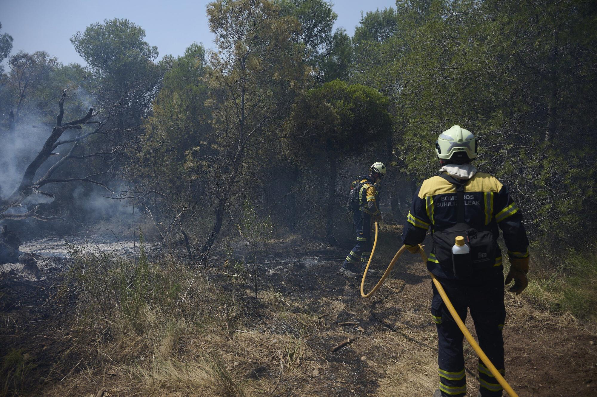 Fotos del incendio forestal cerca de Carcastillo