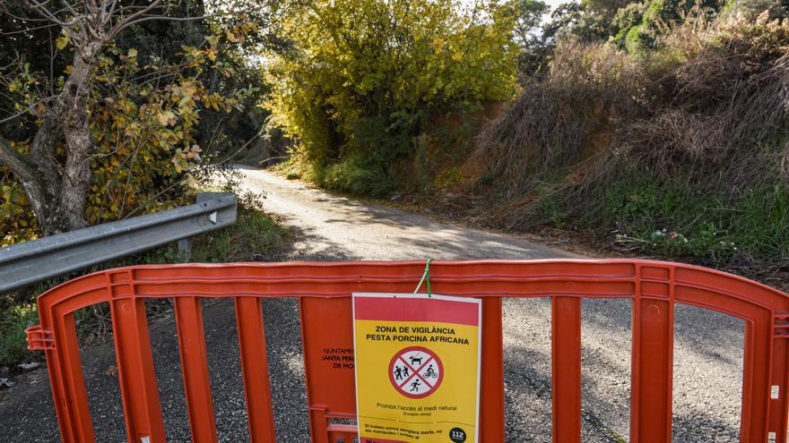Los ciudadanos respetan la prohibición de entrar en el medio natural por la peste porcina