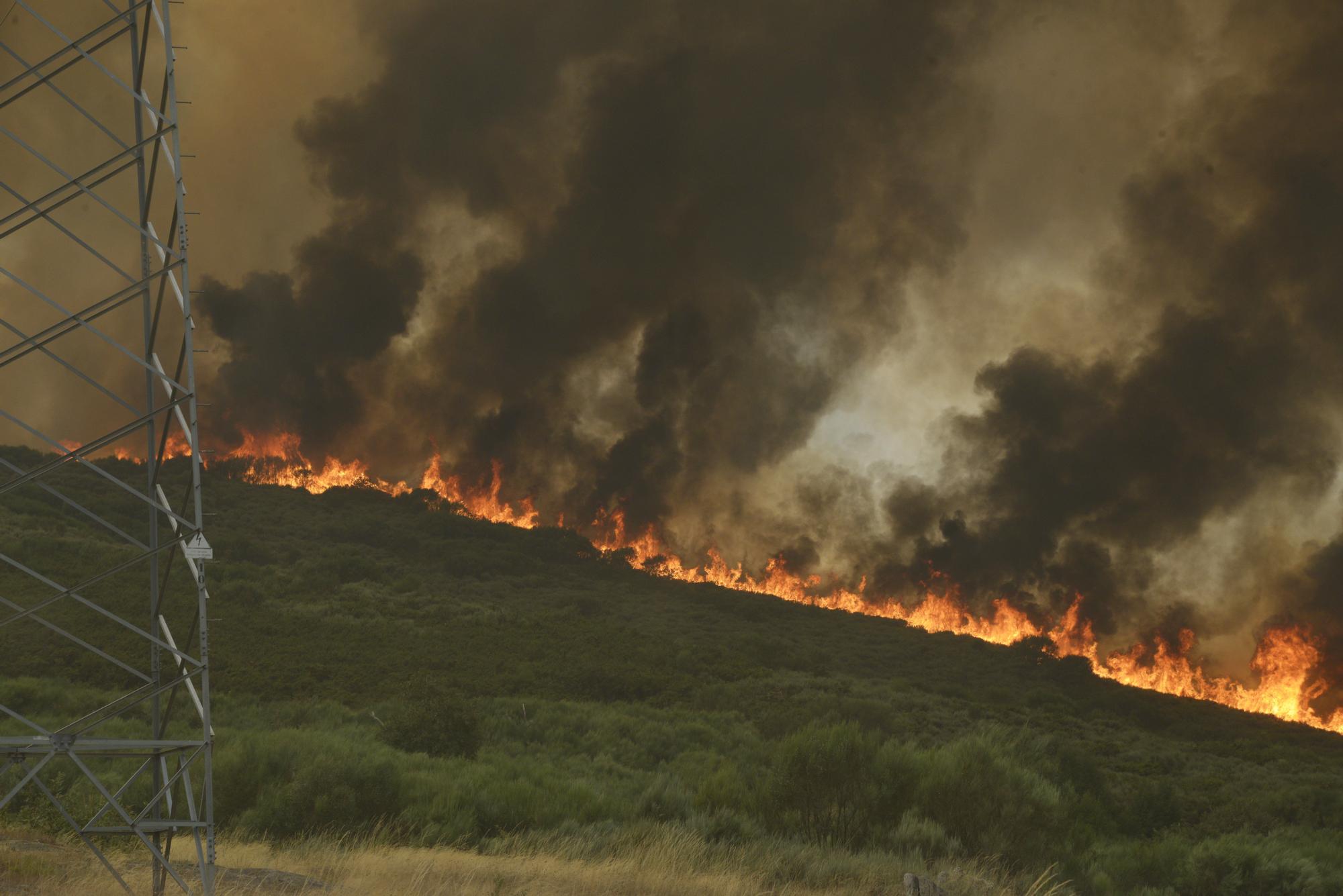 Semana negra de incendios: Cuatro muertos y 120.000 hectáreas quemadas