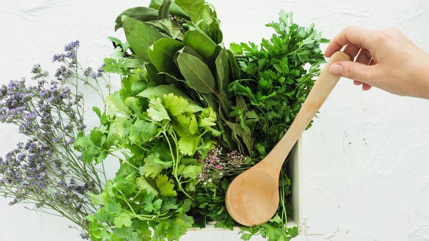 Las claves para conservar las hierbas aromáticas sin que pierdan sabor