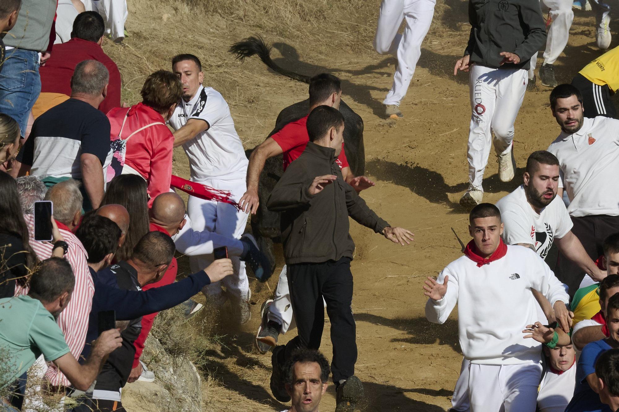Fotos del penúltimo encierro del Pilón de Falces 2025