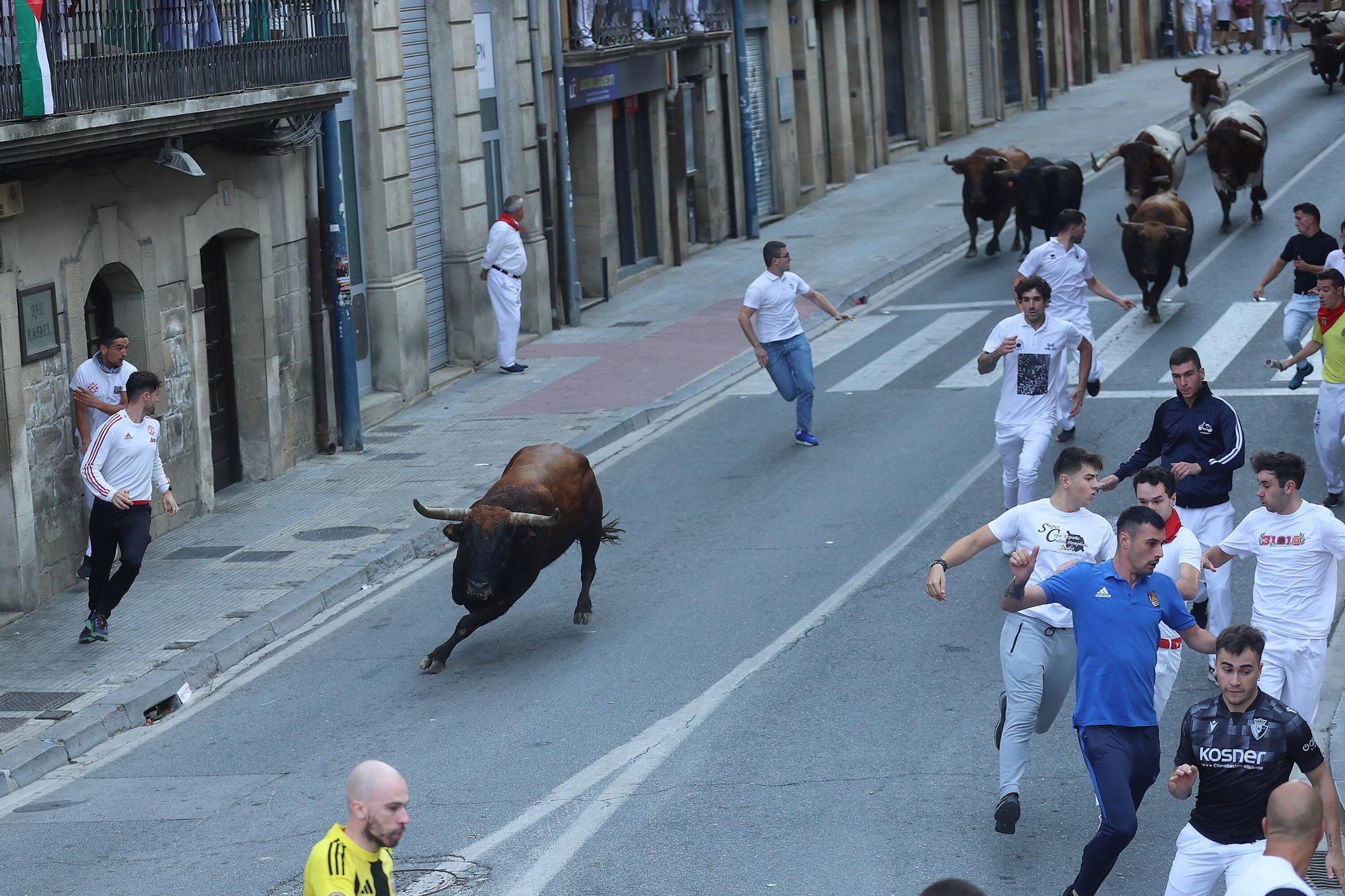 Fotos del quinto encierro de las fiestas de Tafalla 2025