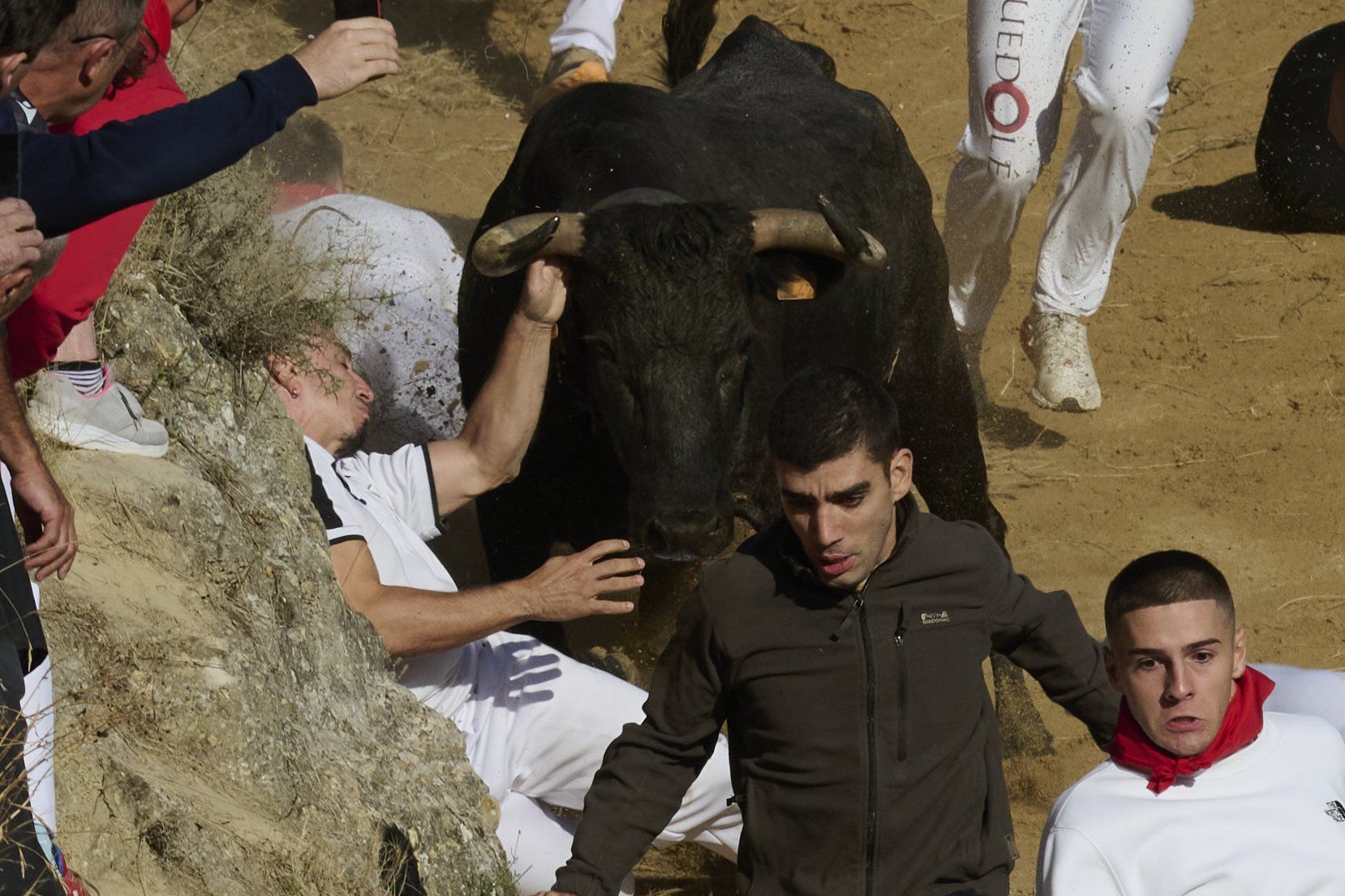 Fotos del penúltimo encierro del Pilón de Falces 2025