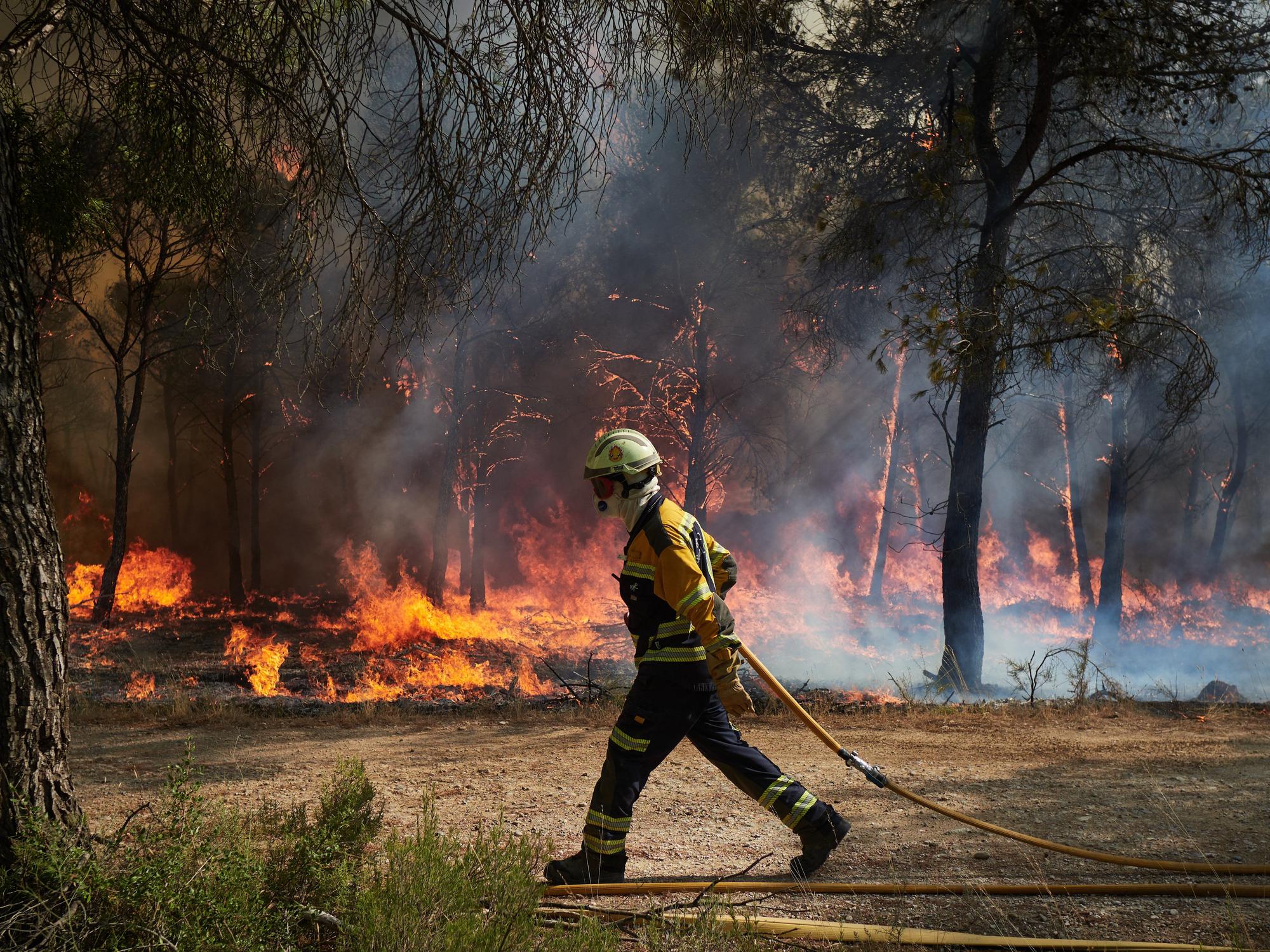 Fotos del incendio forestal cerca de Carcastillo