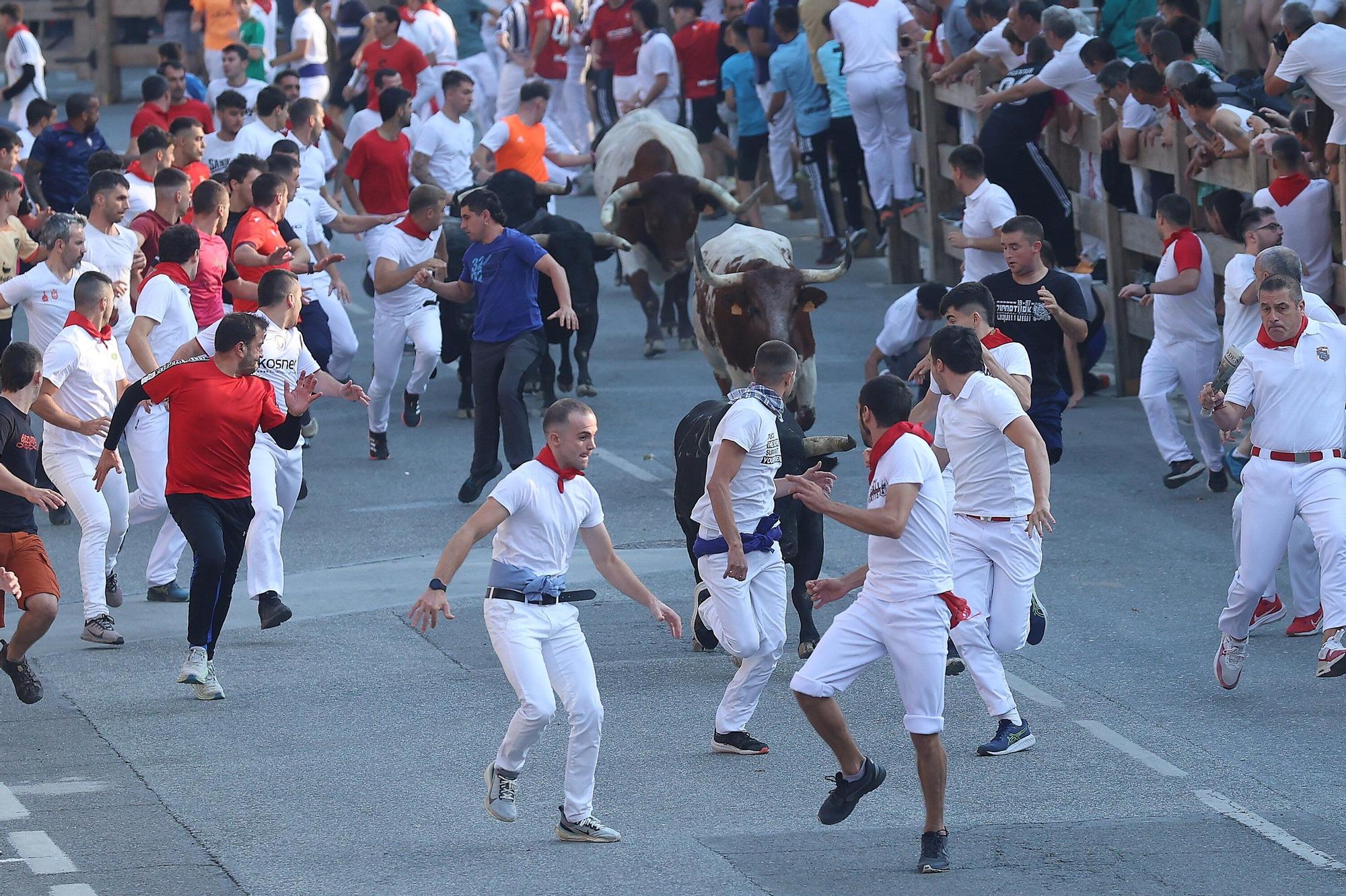 Fotos del segundo encierro de fiestas de Tafalla 2025