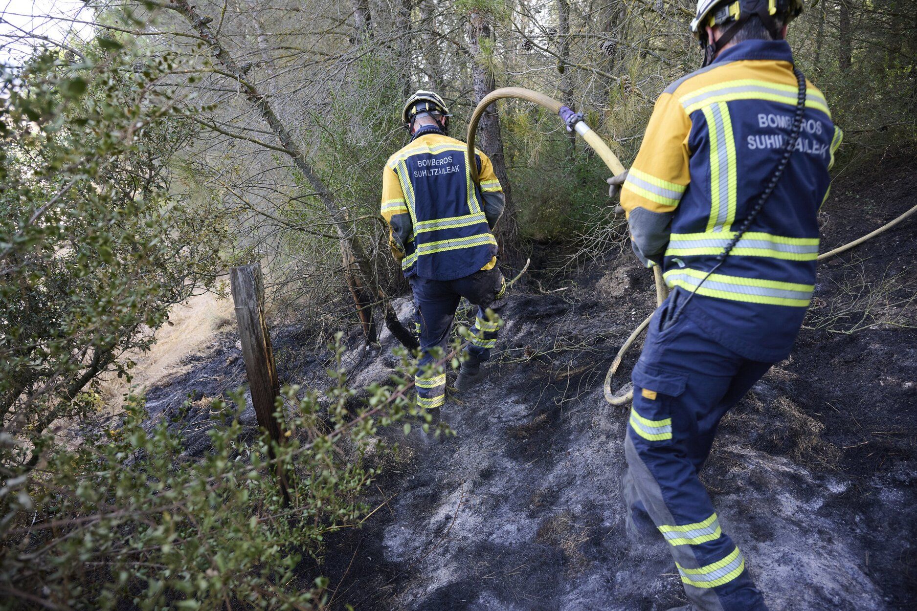 Imágenes de la zona afectada por el incendio en Enériz