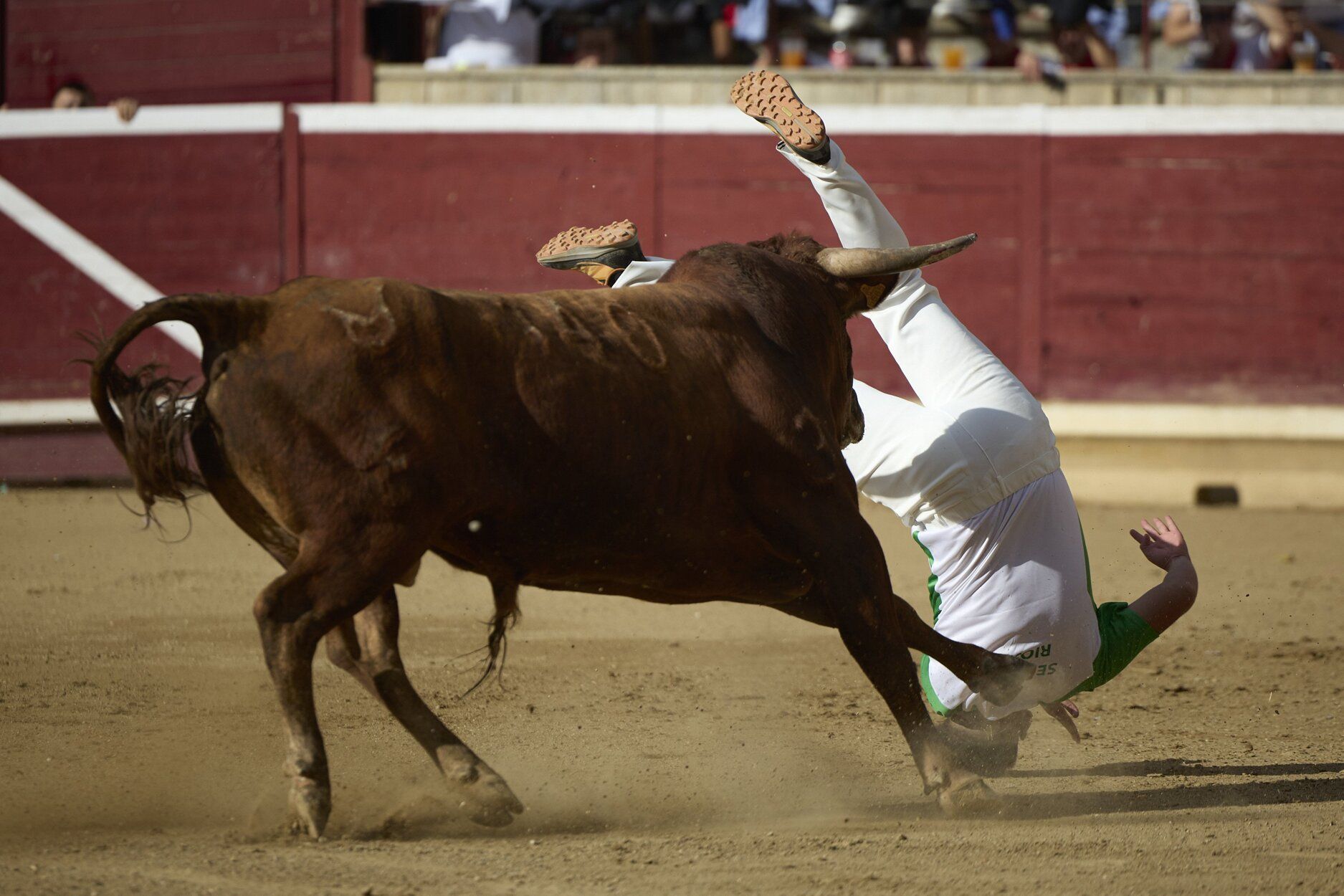 Fotos del concurso de recortadores de fiestas de Tafalla