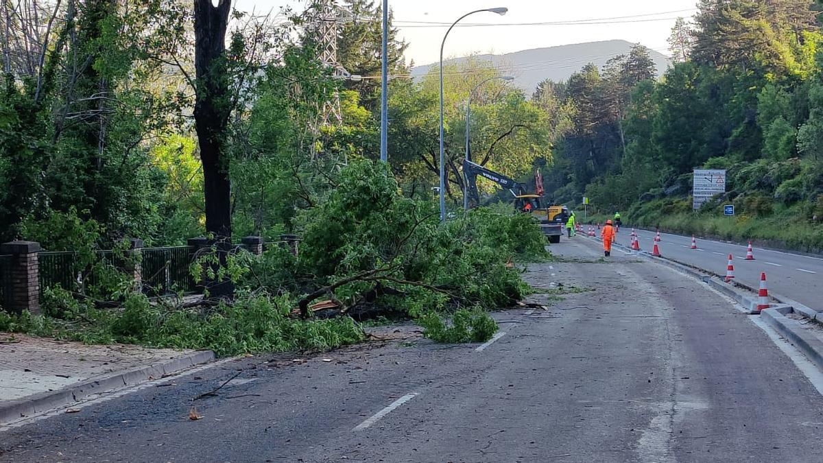 La cuesta de Beloso, sin árboles por las obras del carril bici