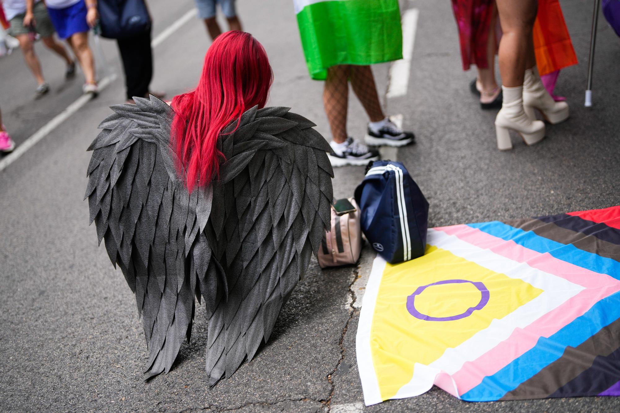 Orgullo 2025: Madrid en pie por la diversidad