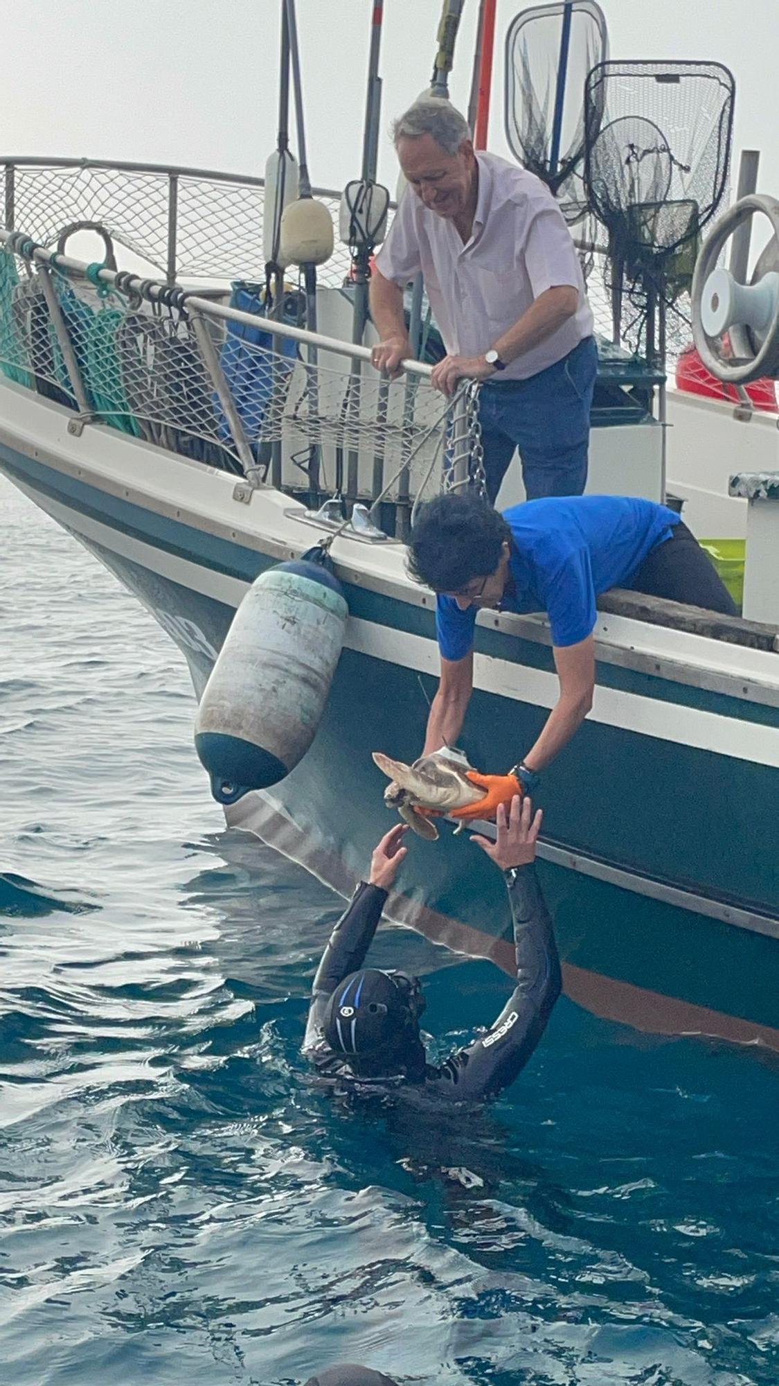 Momento de liberación de una de las tres tortugas que se han recuperado el en Aquarium de Donostia