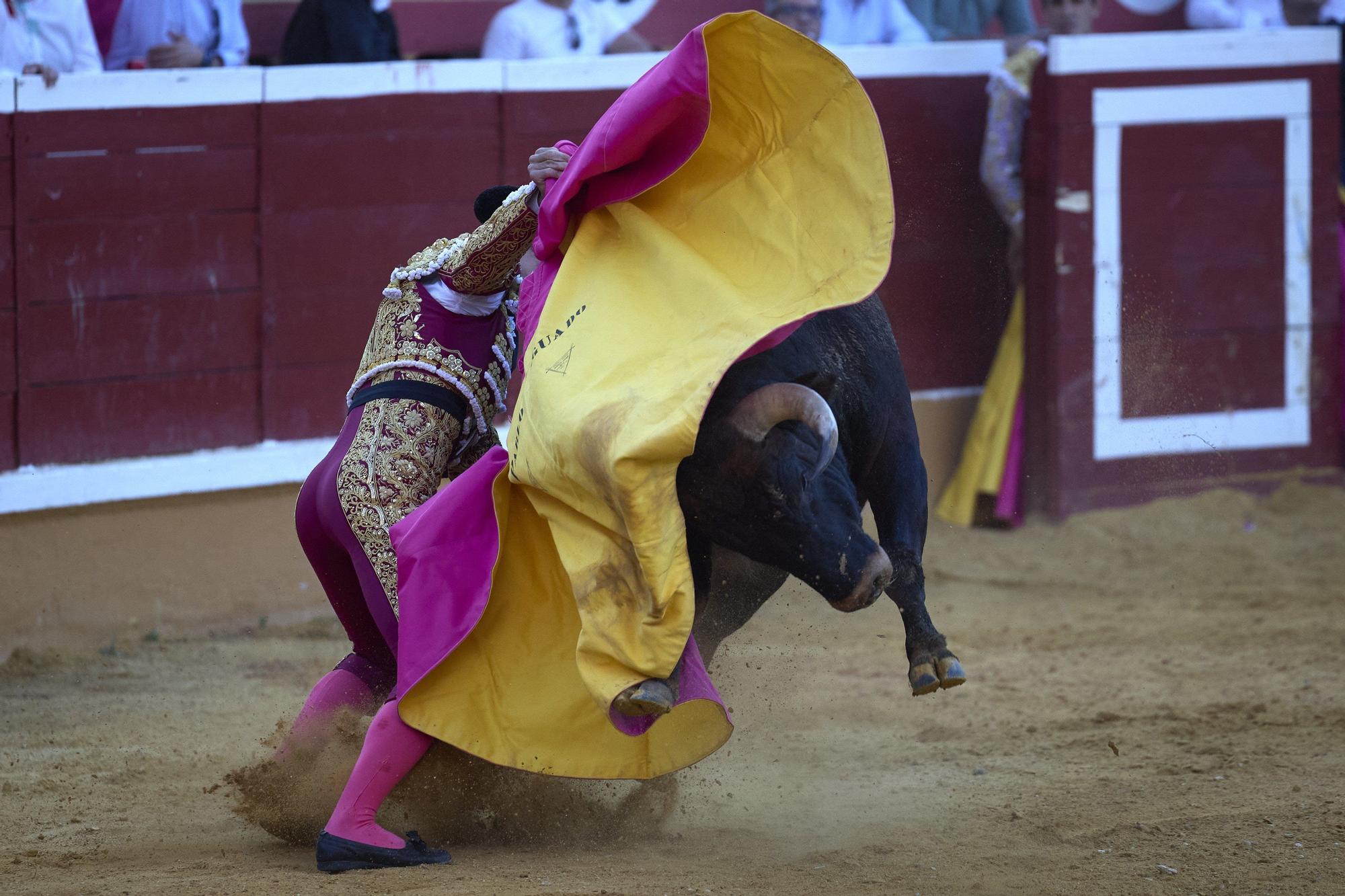 Fotos de la corrida de toros en Tudela con toros de Garzón Valdenebro
