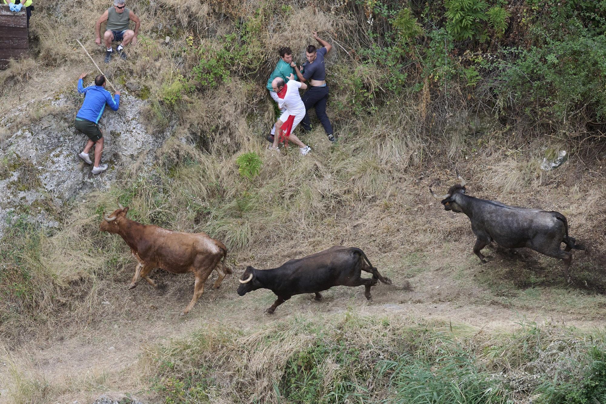 Fotos del tercer encierro del Pilón de Falces 2025