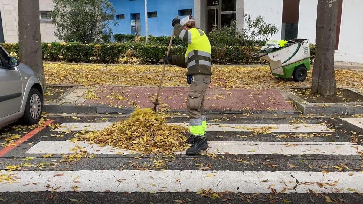 Un trabajador recoge hojas caídas en Pamplona