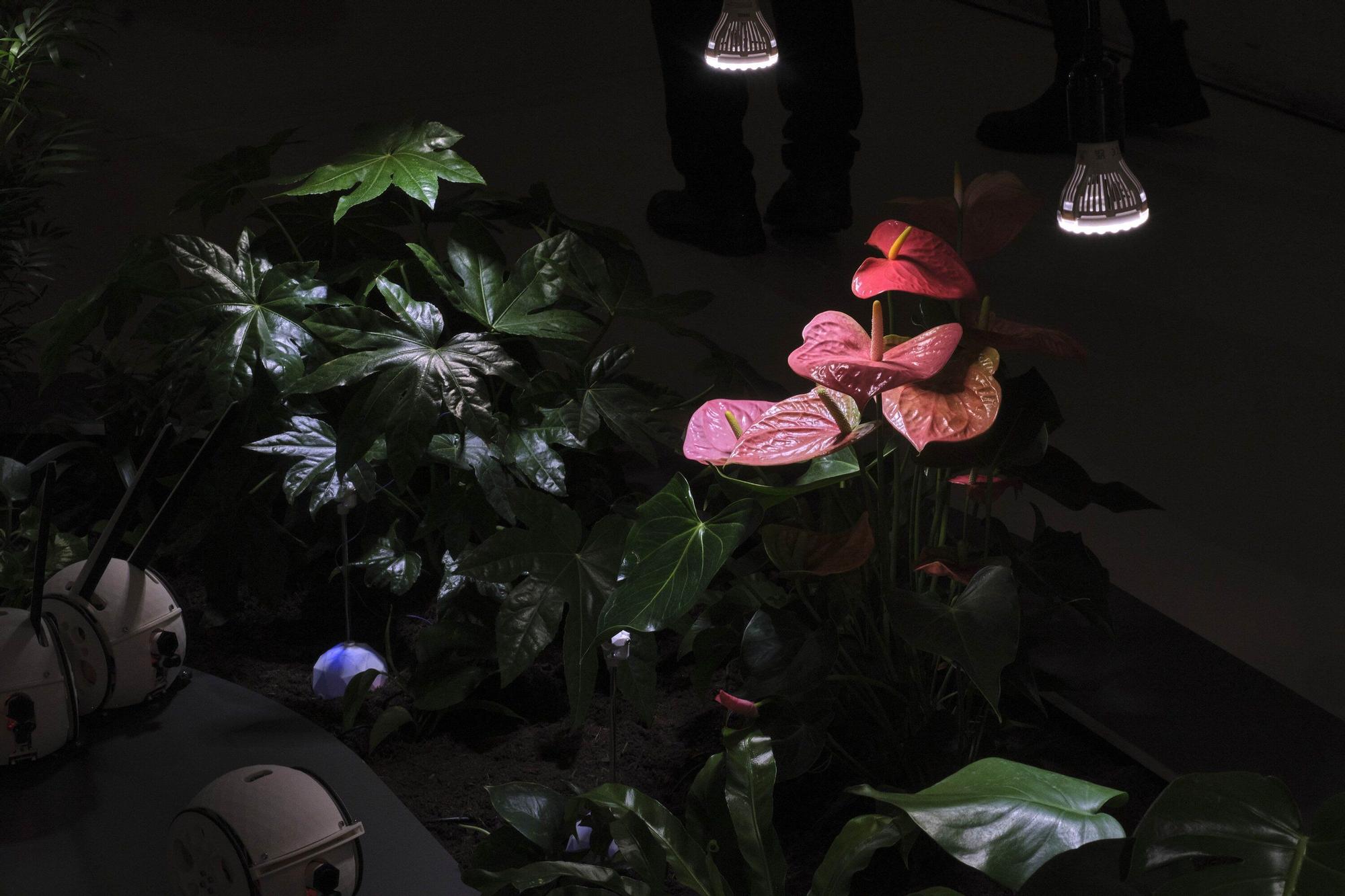 Inauguración de la exposición de los proyectos de 'Memoria Artística de los Encuentros'