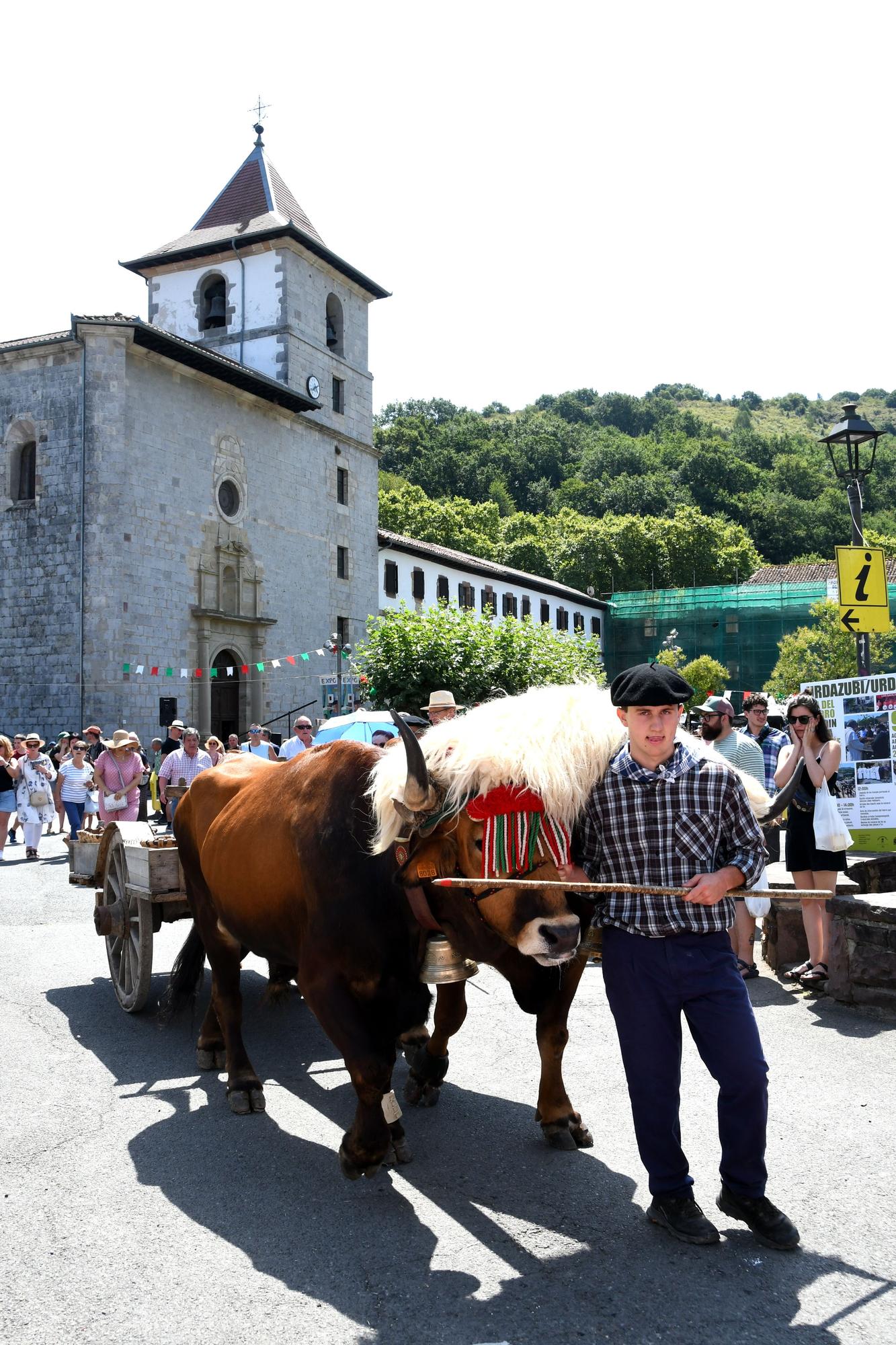 Urdax-Urdazubi celebra la 17ª edición del Día del Hierro