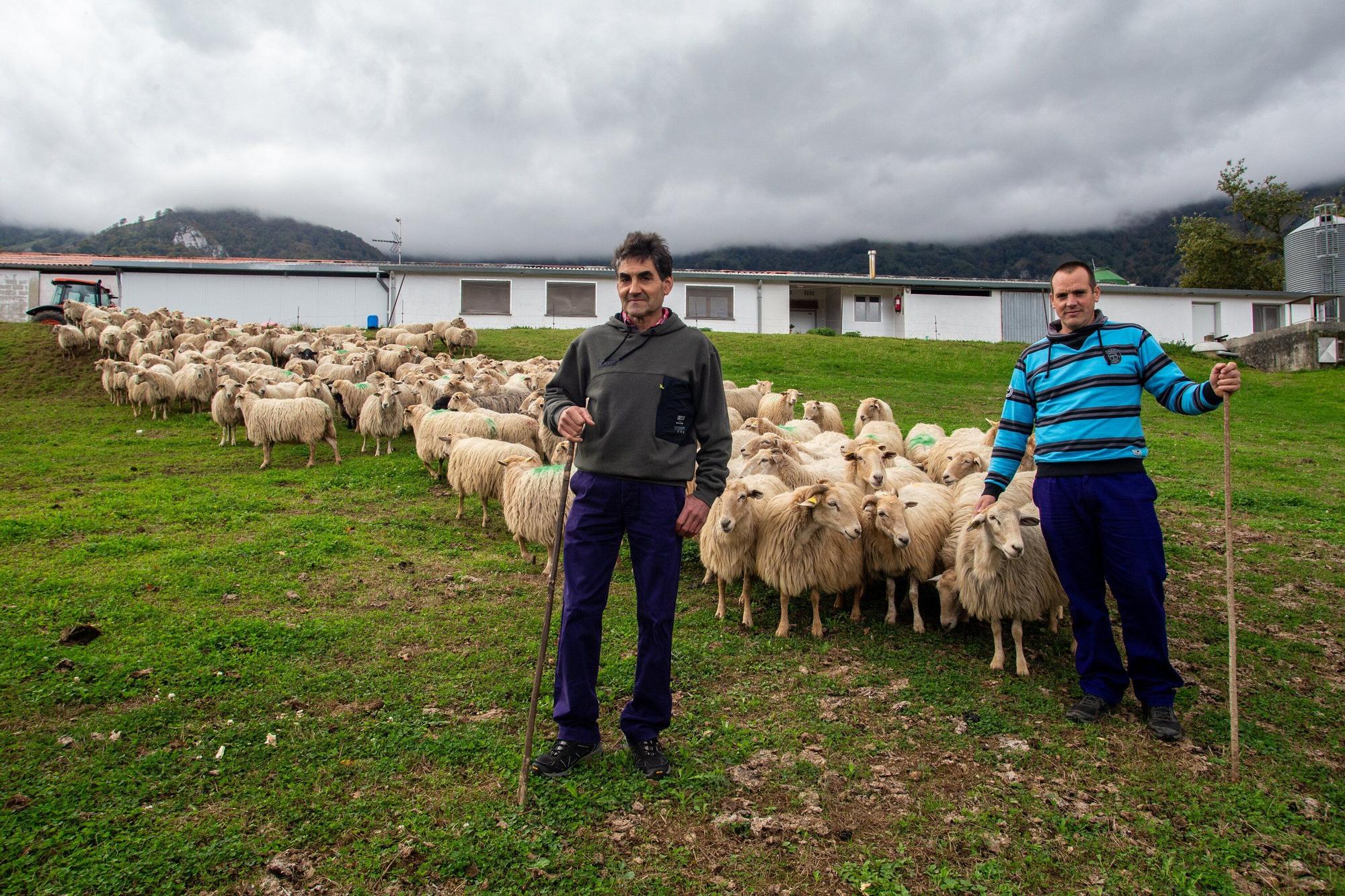 Fotos de la visita a la explotación ganadera de un joven que acaba de instalarse en Gaintza, en el valle de Araitz