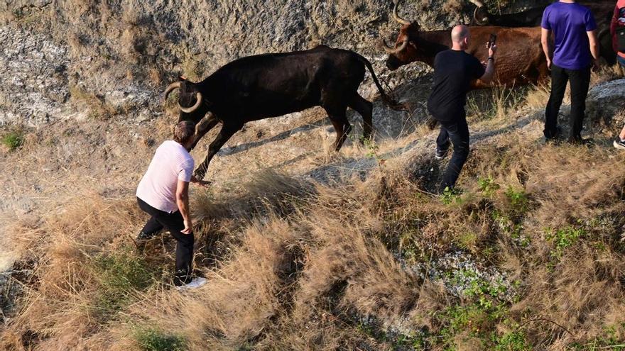 Teodoro Vergara pone punto y final al Pilón de Falces 2025