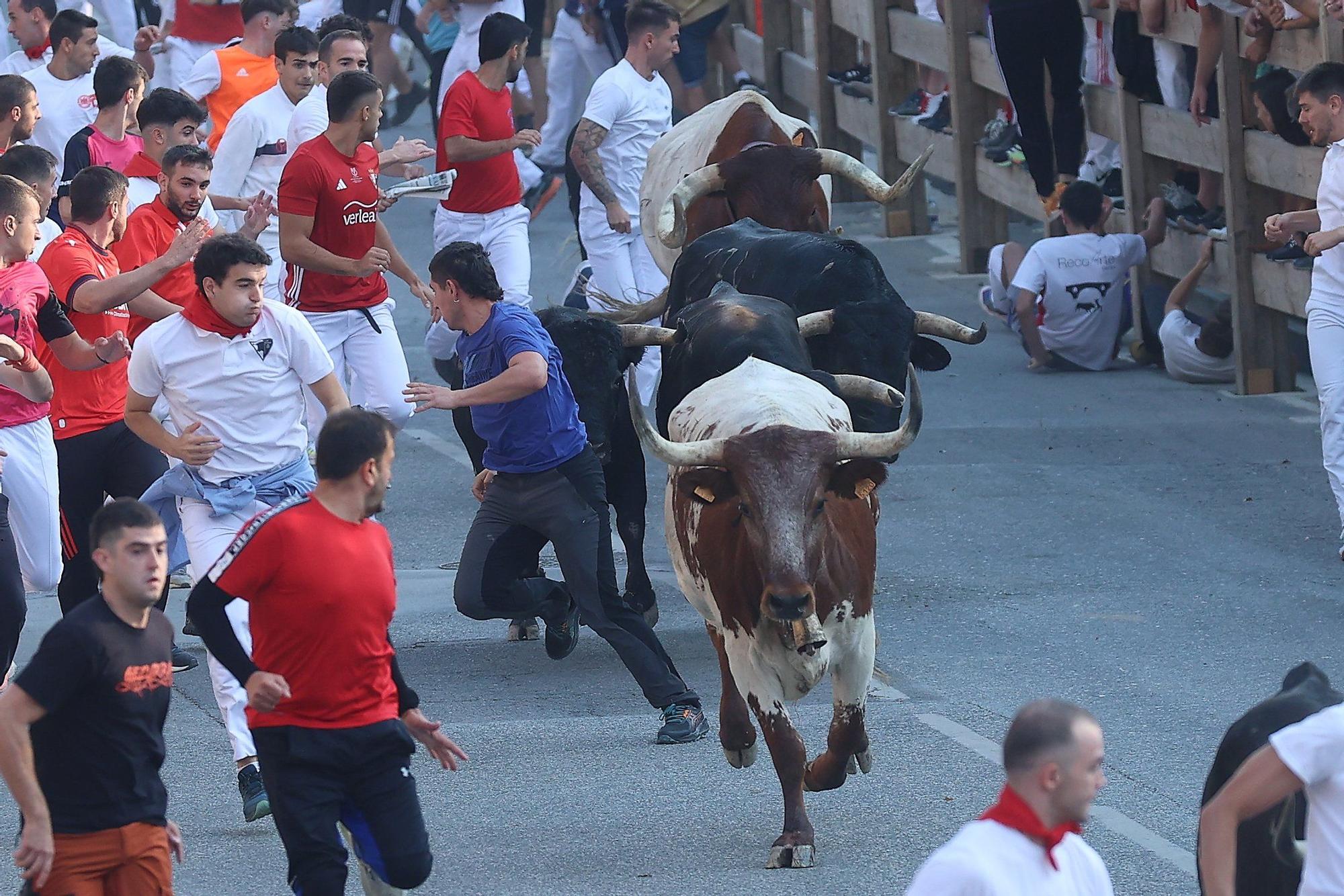 Fotos del segundo encierro de fiestas de Tafalla 2025