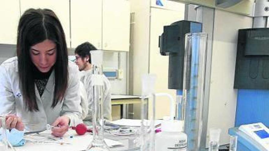 La UPV quintuplica sus fondos europeos para investigación