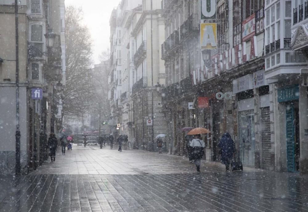 Nieva en Vitoria
