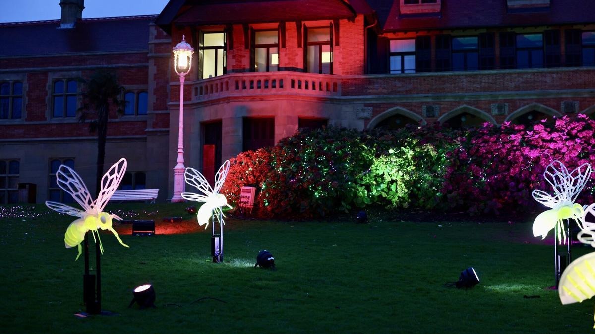 Insectos iluminados en el Palacio Miramar.