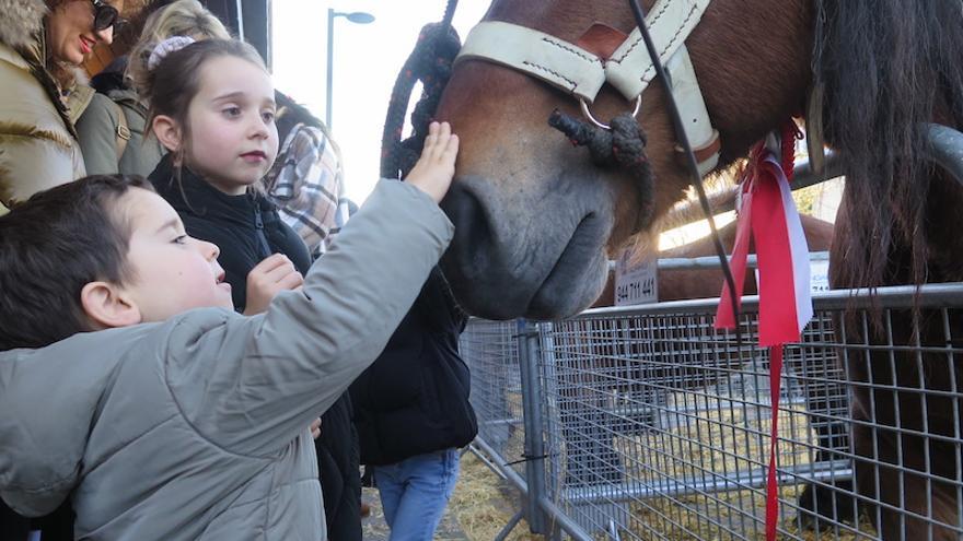 La feria de Santa Lucía, en imágenes