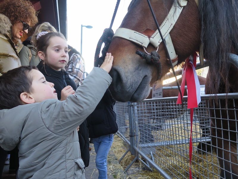 La feria de Santa Lucía, en imágenes