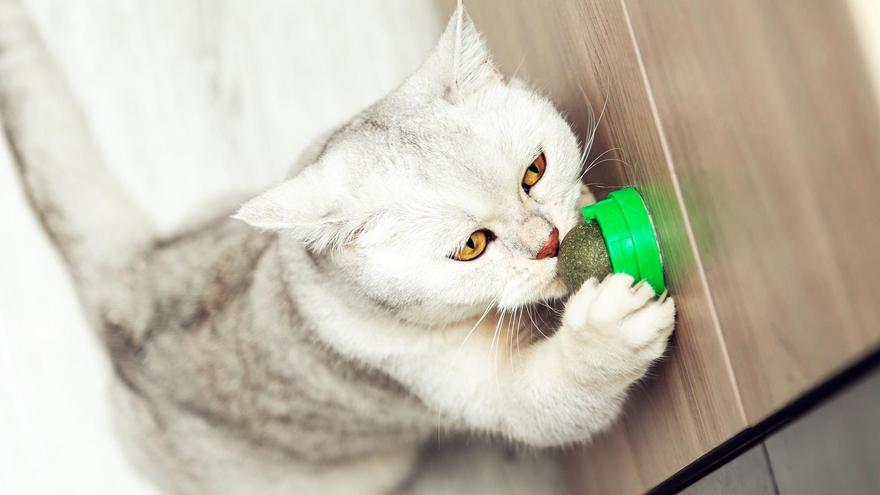 Quien pueda hacer que haga