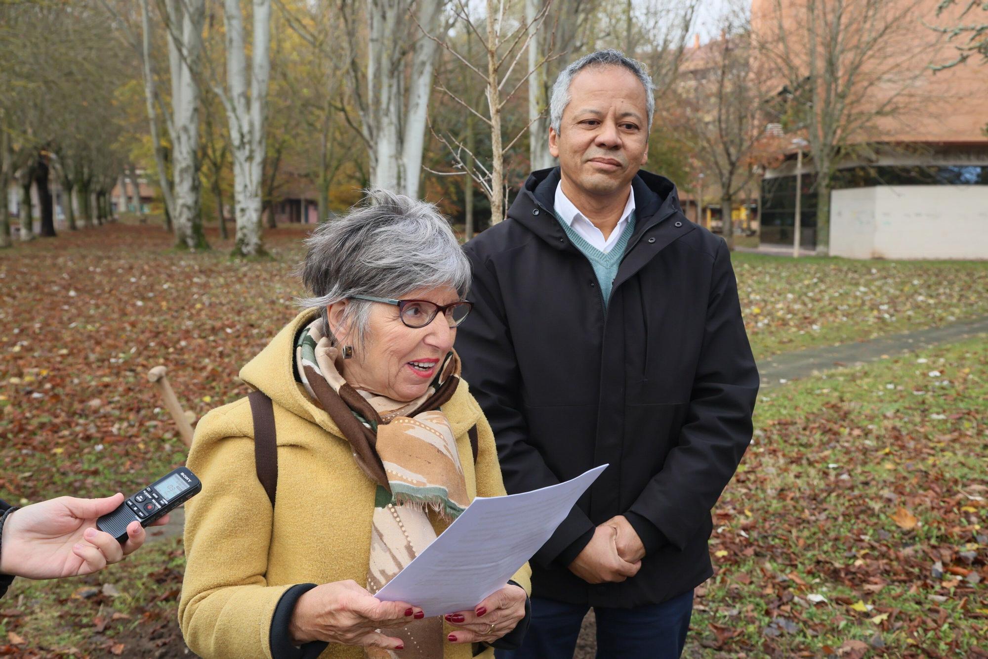 En imágenes: Un árbol para 25 años de lucha contra el párkinson en Vitoria