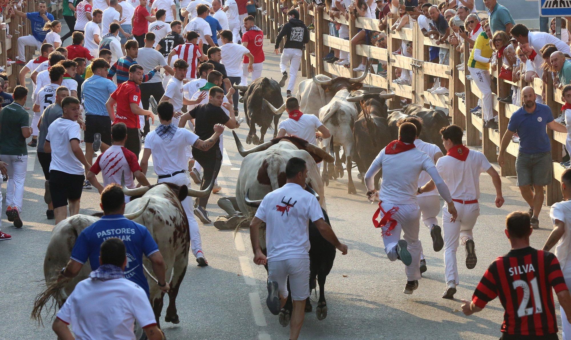 Fotos del segundo encierro de fiestas de Tafalla 2025