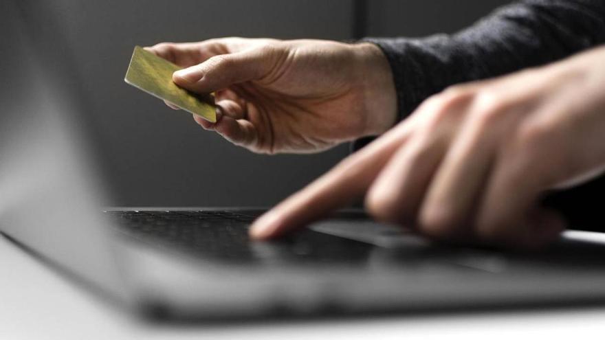 Cae una red criminal especializada en estafas por Internet con víctimas en Álava