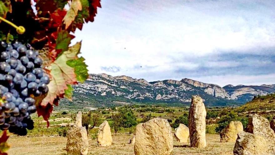Conoce el "cementerio ateo" rodeado de viñedos: un museo de la prehistoria al sur de Álava