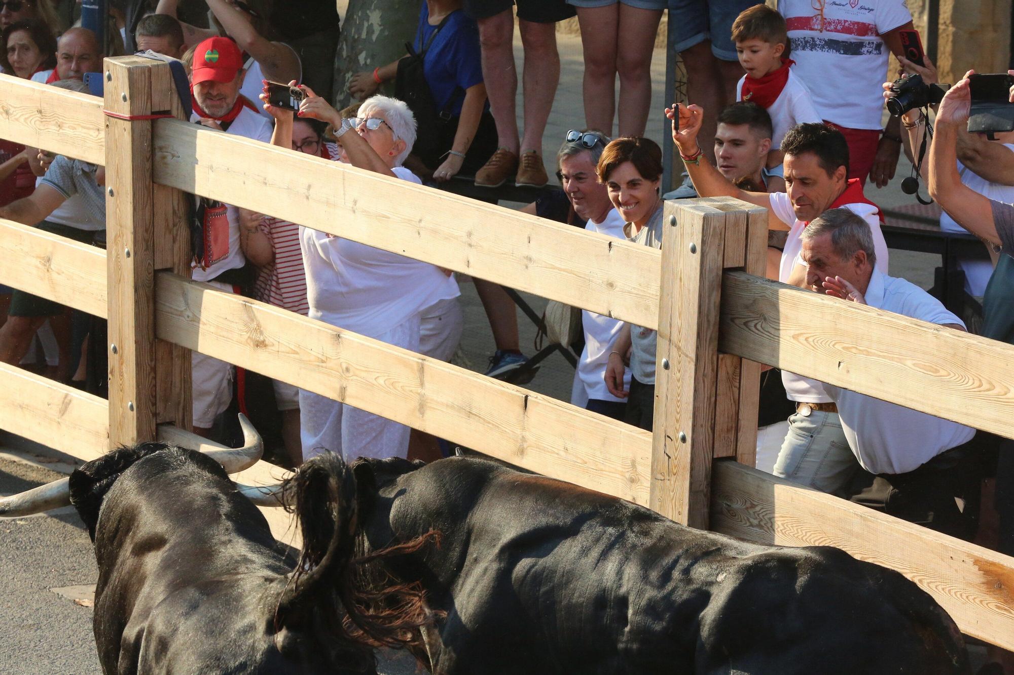 Fotos del primer encierro de fiestas de Tafalla