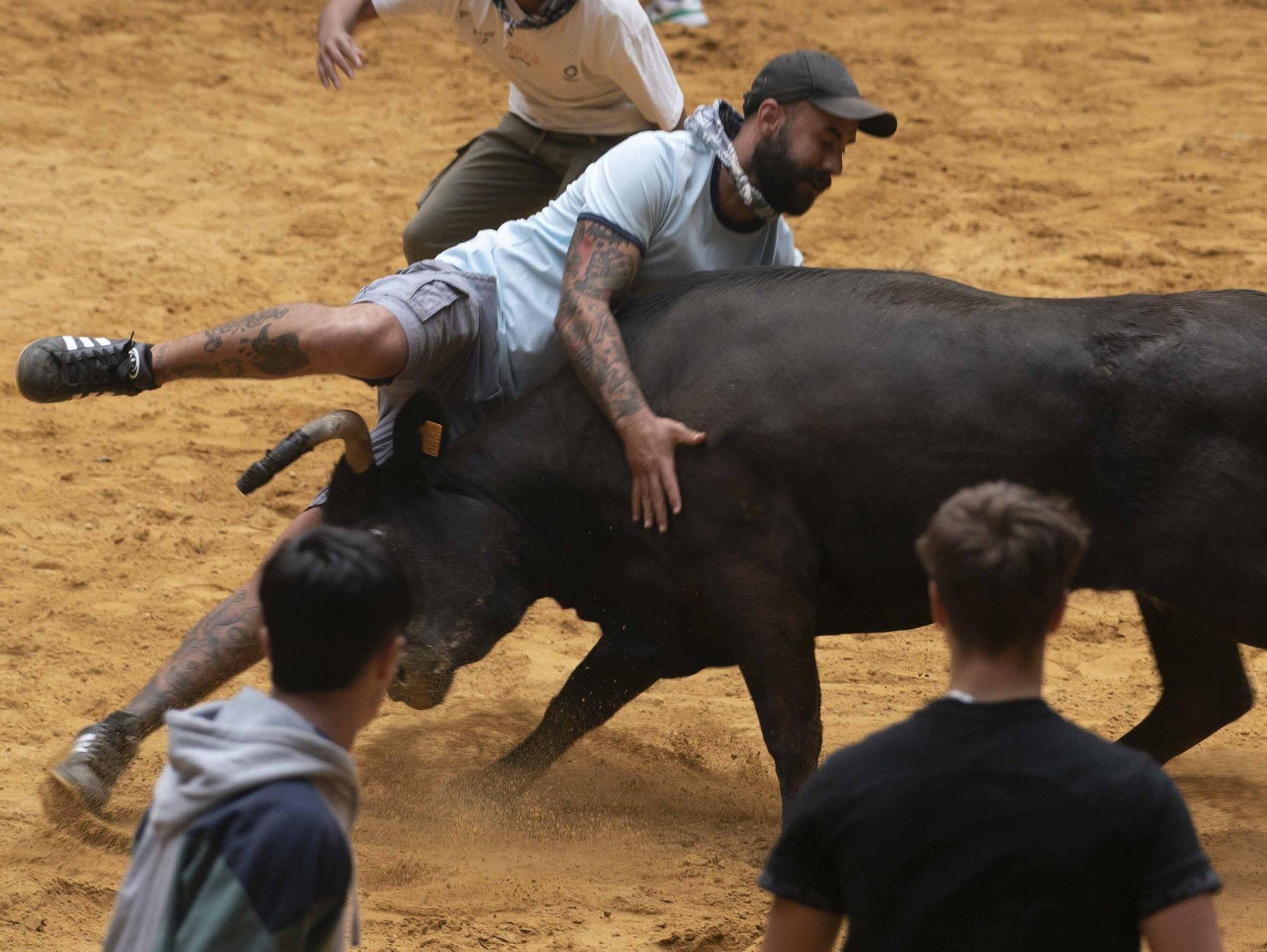 Eb imágenes: Las vaquillas reinan en el Iradier Arena