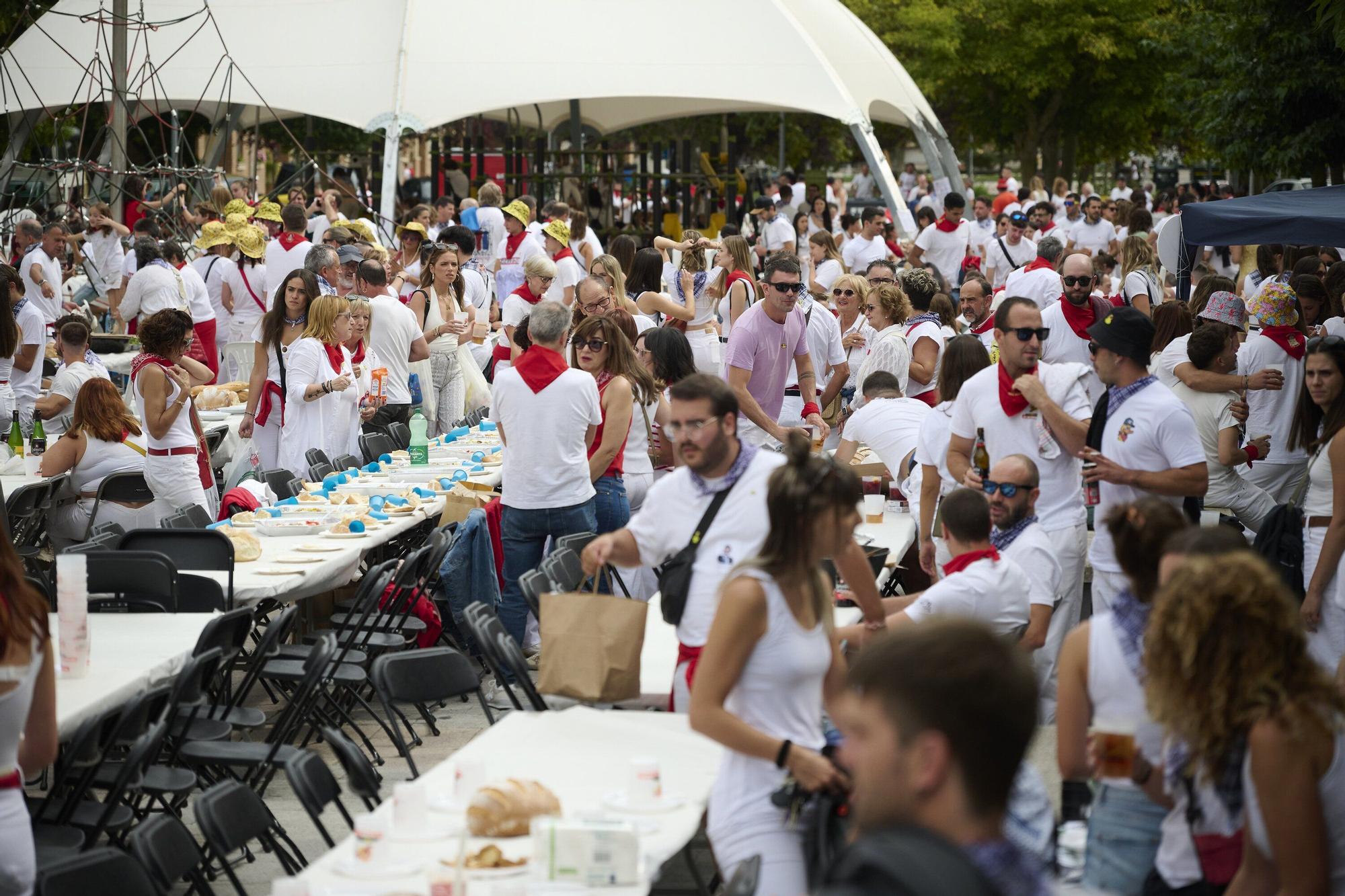 Fotos de la comida del pato en Zizur