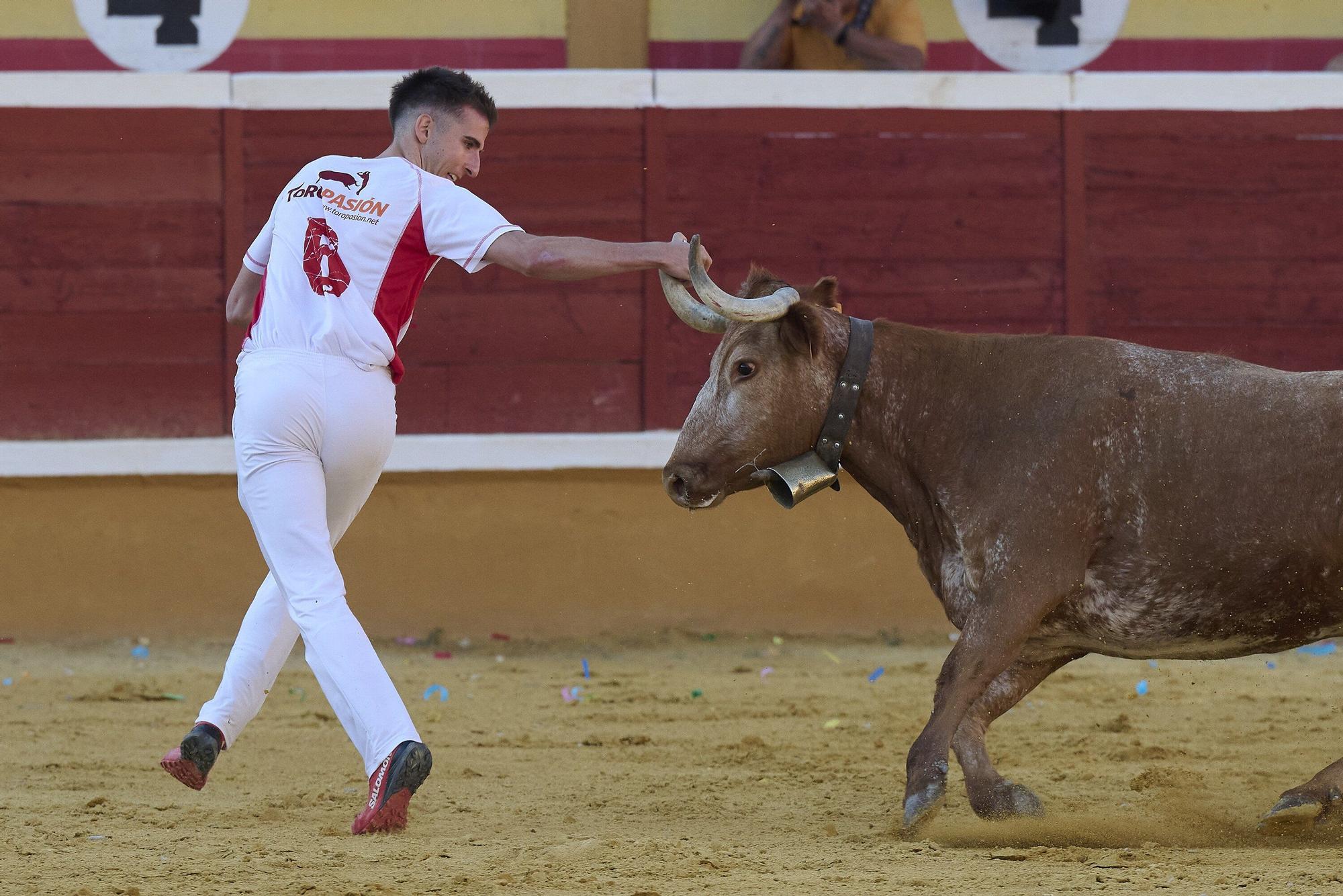 Concurso de recortadores con anillas
